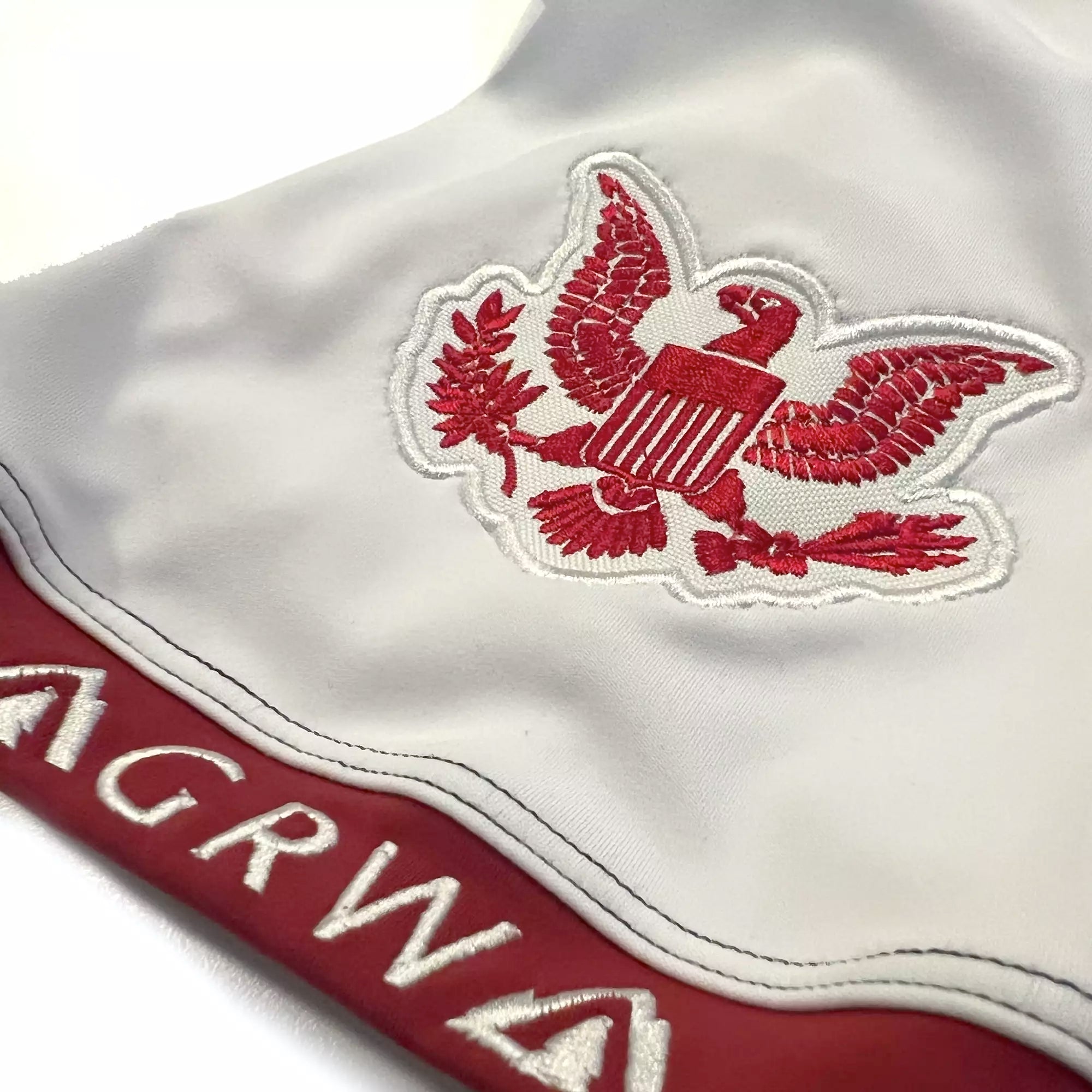 GRW American Jiu Jitsu BJJ Rash Guard patches red white blue eagle patch closeup