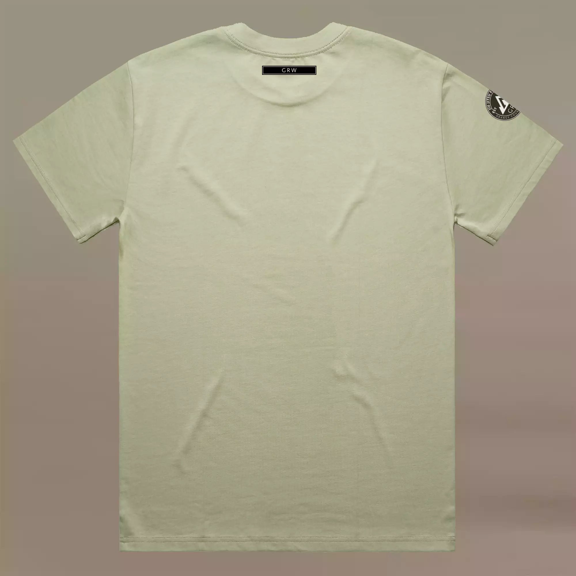 GRW BJJ American Jiu Jitsu pistachio oversize tee shirt back